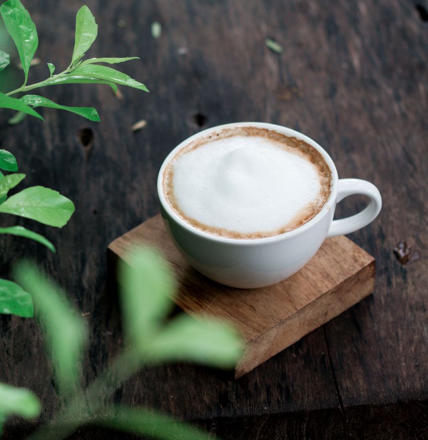 A cup of cappuccino on a wooden table, surrounded by a small plant